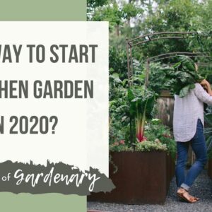 What's the Best Way to Start a Kitchen Garden in 2020?