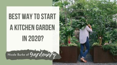 What's the Best Way to Start a Kitchen Garden in 2020?