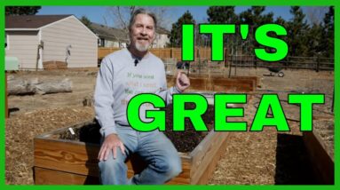 Why Raised Garden Beds Are Better (Another 10 Reasons)