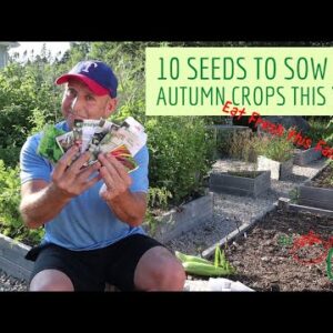 10 Seeds to Sow for Autumn Harvests
