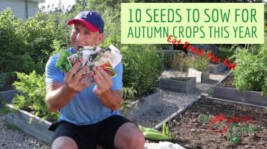10 Seeds to Sow for Autumn Harvests