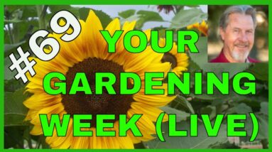 Garden Problems (Q&A)