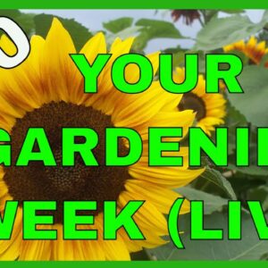 Gardening Secrets (Q&A)