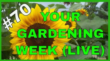 Gardening Secrets (Q&A)