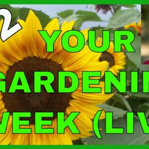 Lessons From Other Gardens (Q&A)