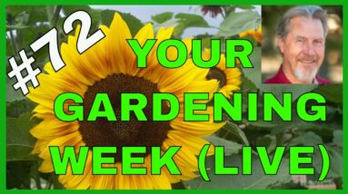 Lessons From Other Gardens (Q&A)