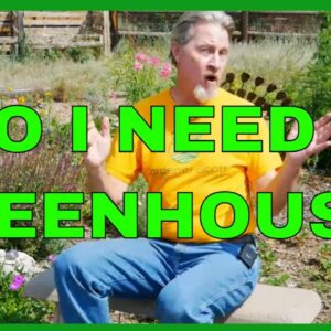 Planning a Greenhouse (How to Start)