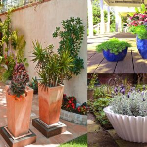 Stunning Container Garden Planting Ideas | Unique Container Gardenings