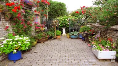 Creative Garden Patio Ideas on a Budget | Patio Garden Design Ideas