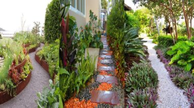 Perfect Plants for Walkways Design Ideas | Pathway Ideas on a Budget