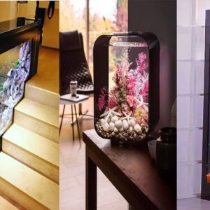 Stunning Indoor Aquarium Design Ideas | Unique Fish Bowls