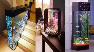 Stunning Indoor Aquarium Design Ideas | Unique Fish Bowls