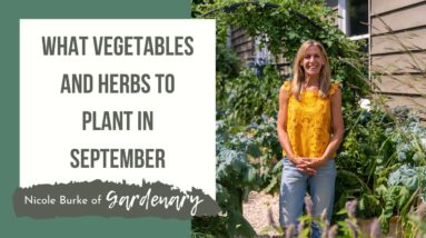 What Vegetables and Herbs to Plant in September