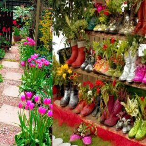 Beautiful Flower Gardening Ideas | Popular Garden Flowers