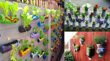 Best Plastic Container Gardening Ideas | Vertical Garden Ideas with Plastic Bottles