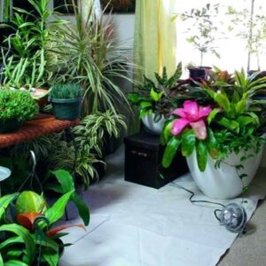 Fabulous Indoor Garden Ideas for Small Spaces | Garden Ideas for Small Apartments