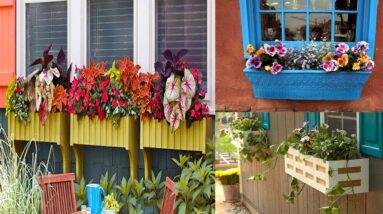 Best DIY Flower Box Planters for Fancy Backkyard Gardens | Planter ox designs
