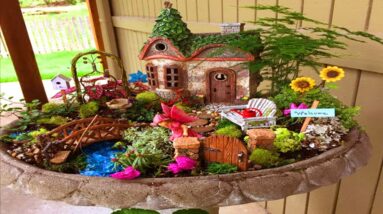 Enchanting DIY Fairy Garden Ideas for Backyard Garden | Mini Garden ideas