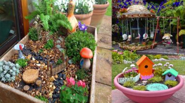 Amazing DIY Fairy Garden Decorating Ideas | DIY Miniature Garden Ideas