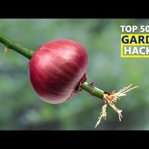 MY TOP 50 MIND BLOWING GARDENING IDEAS & HACKS FOR BEGINNERS AND EXPERTS | GARDEN SECRETS