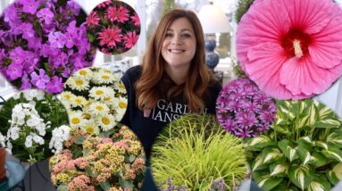 Laura's Back with Perennials to Consider for 2022