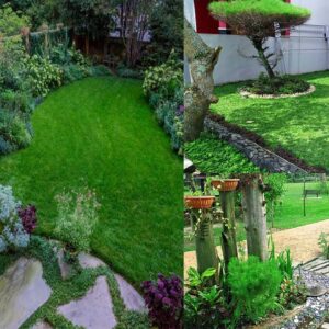 Best Small Backyard Landscaping Ideas | Garden Landscaping Ideas